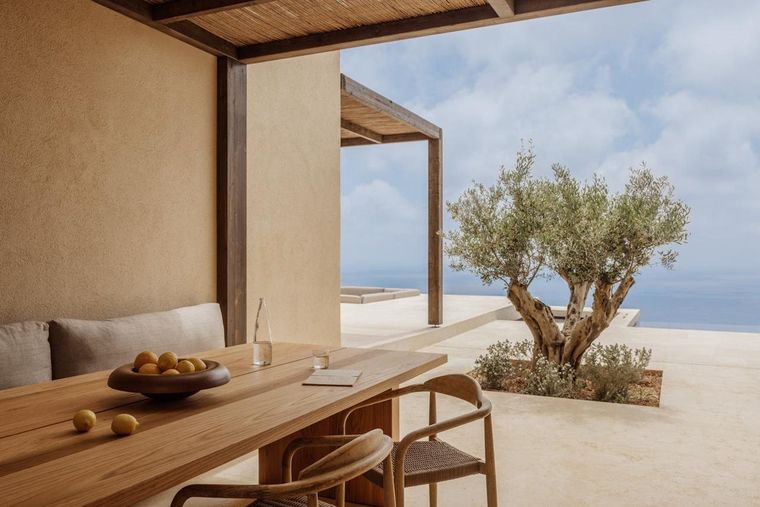 A terrace table beside an olive tree above the sea